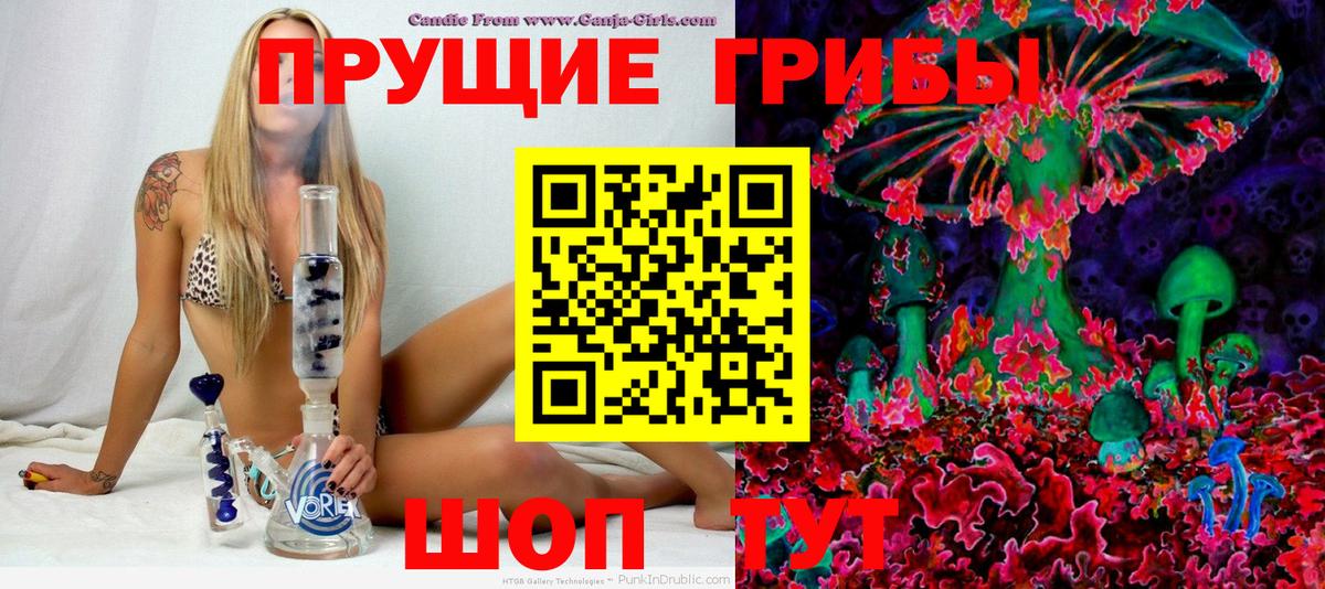 Псилоцибиновые грибы Cubensis  Вход с VPN  Волоколамск 